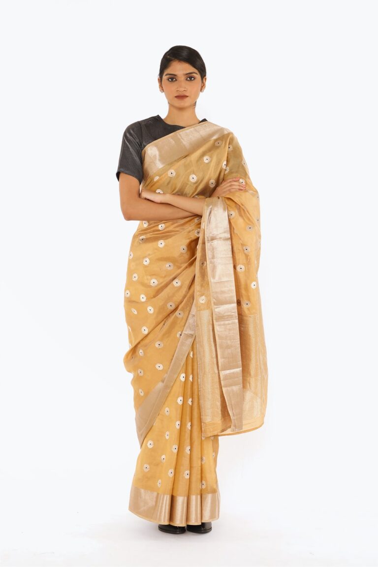 BOA - Beige Chanderi Silk Tissue Saree