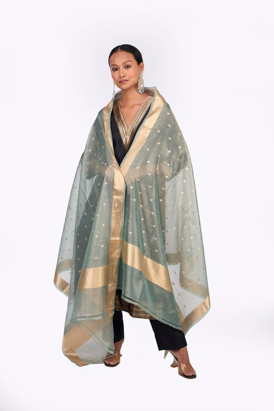 Blue Organza Dupatta