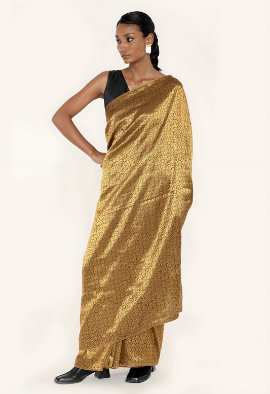 Dhari -  GOLD JARI METALIC SAREE