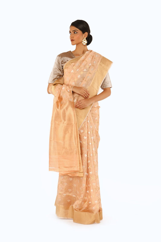 BOA -  Beige Chanderi Silk Tissue Saree