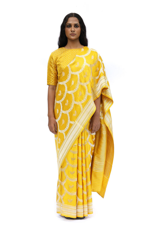 MM - MUSTARD MASHRU SILK